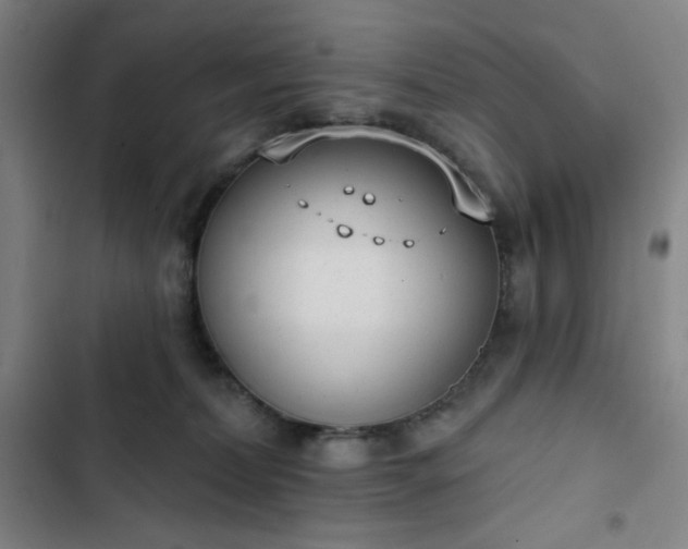 X0000102850228200808251210