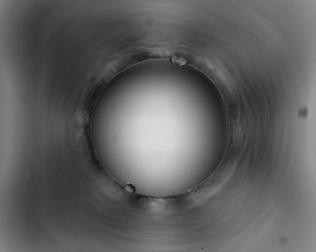X0000102850229200808251210