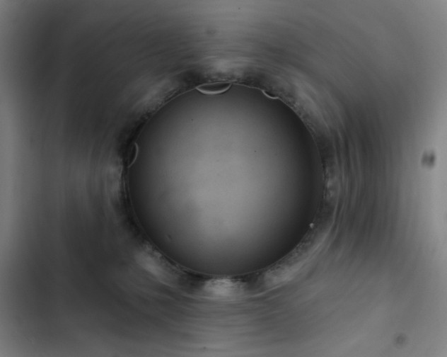 X0000102850231200808251210