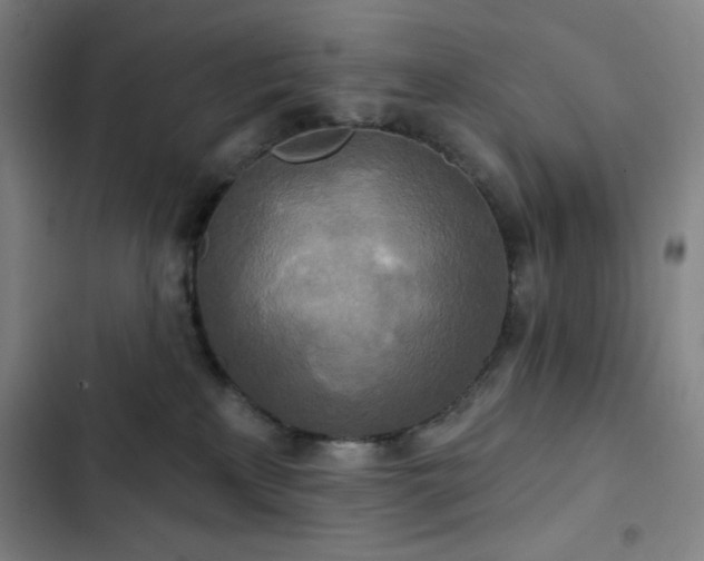 X0000102850233200808251210