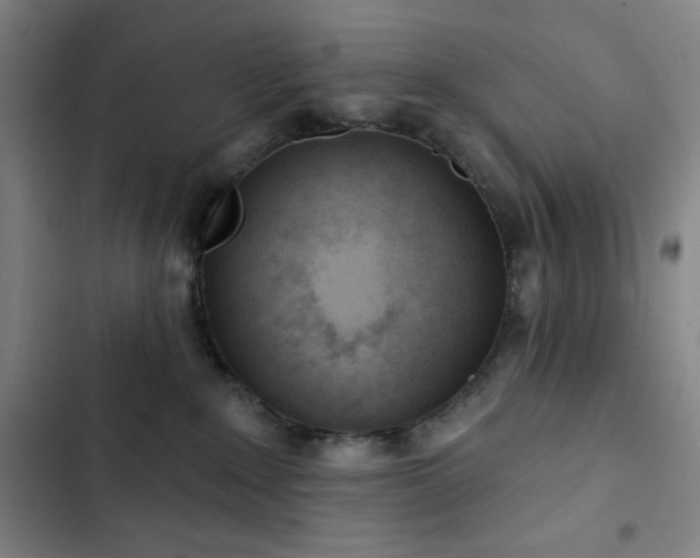 X0000102850235200808251210