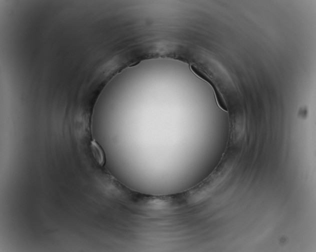 X0000102850236200808251210