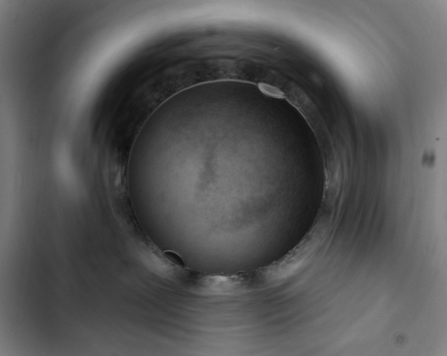 X0000102850239200808251210