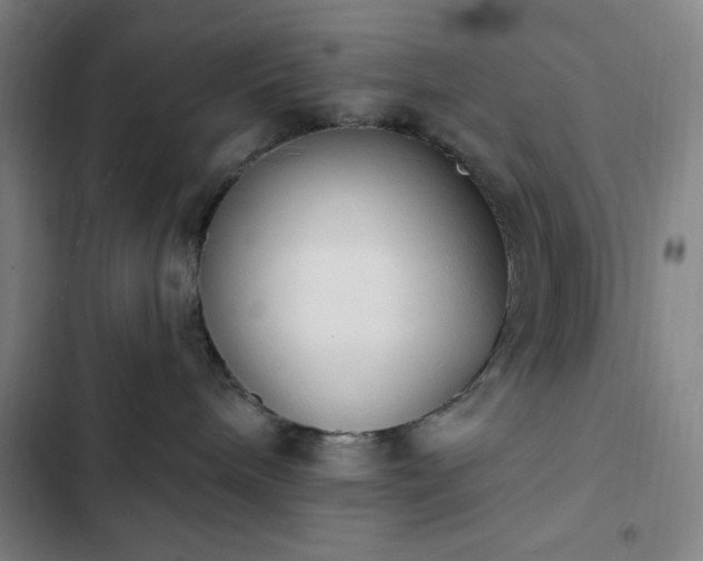 X0000102850240200808251210