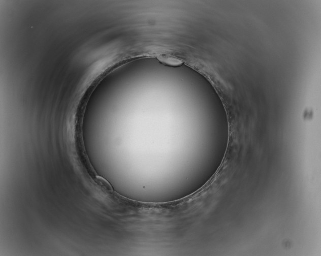 X0000102850242200808251209