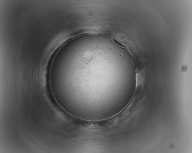 X0000102850243200808251209