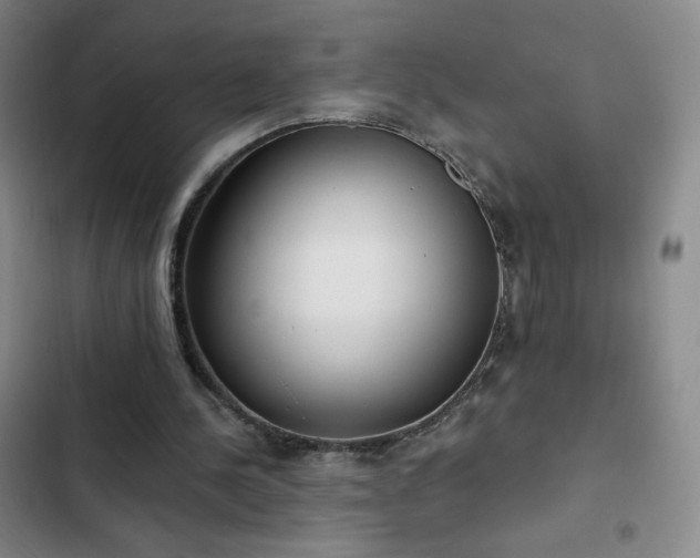 X0000102850244200808251209