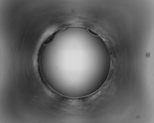 X0000102850245200808251209
