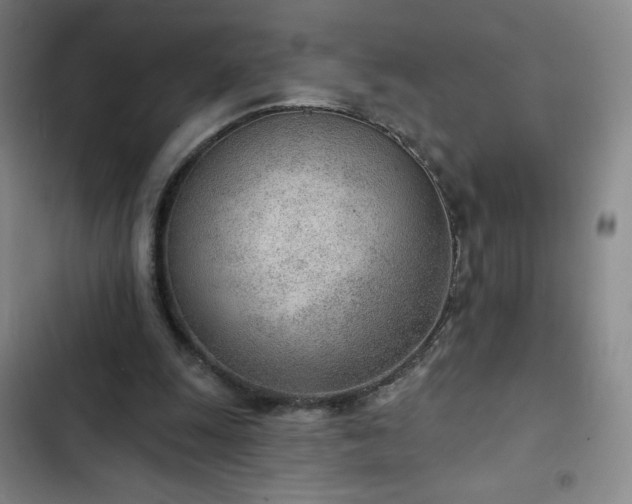 X0000102850247200808251209
