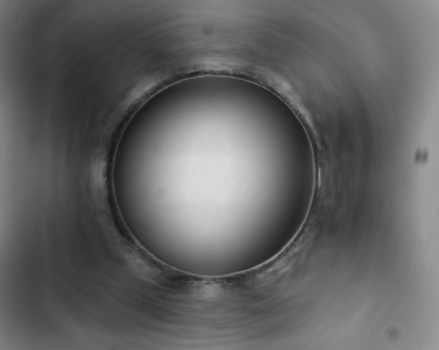 X0000102850249200808251209