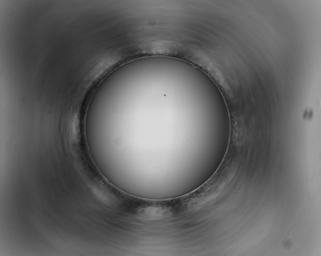 X0000102850251200808251209