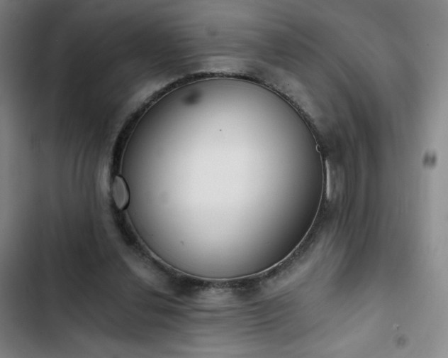 X0000102850252200808251209