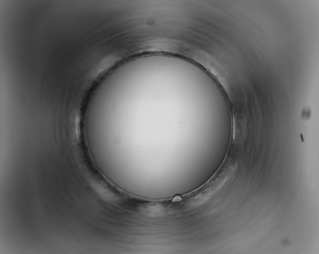 X0000102850253200808251209