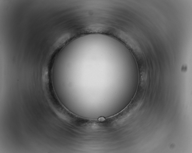 X0000102850254200808251209