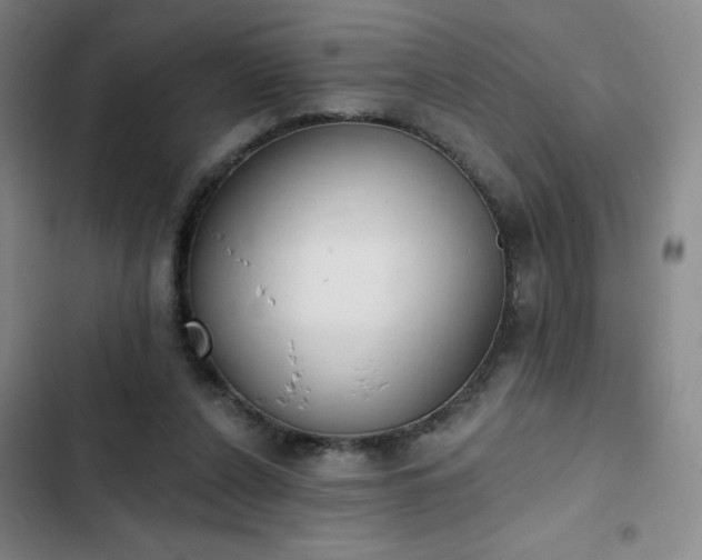 X0000102850256200808251209