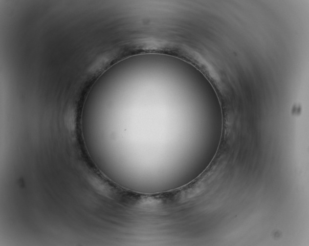 X0000102850257200808251209