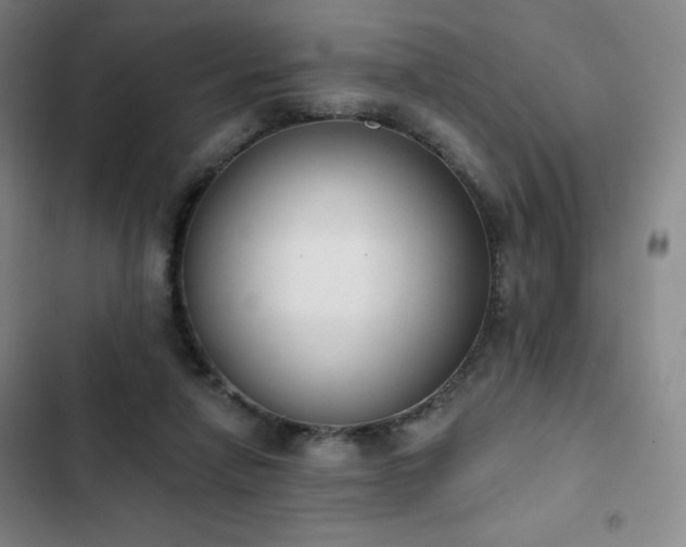 X0000102850258200808251209