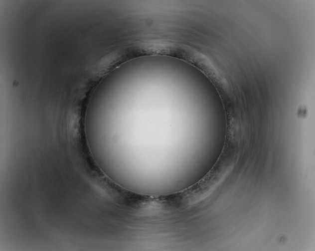 X0000102850259200808251209