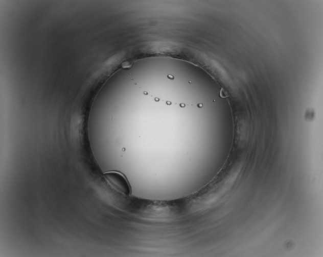 X0000102850260200808251209