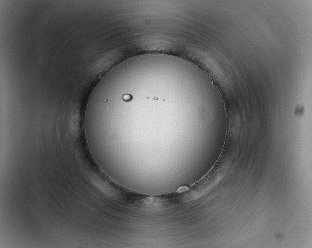 X0000102850261200808251209