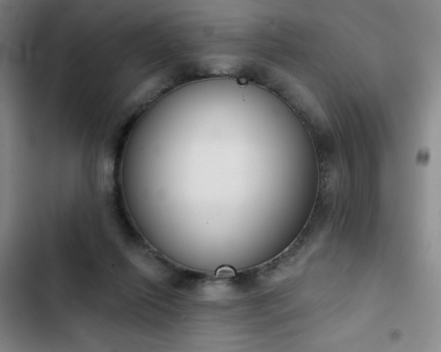 X0000102850262200808251209
