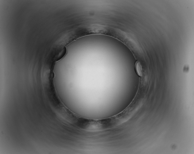 X0000102850263200808251209