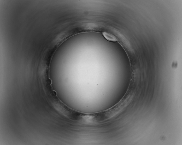 X0000102850265200808251209