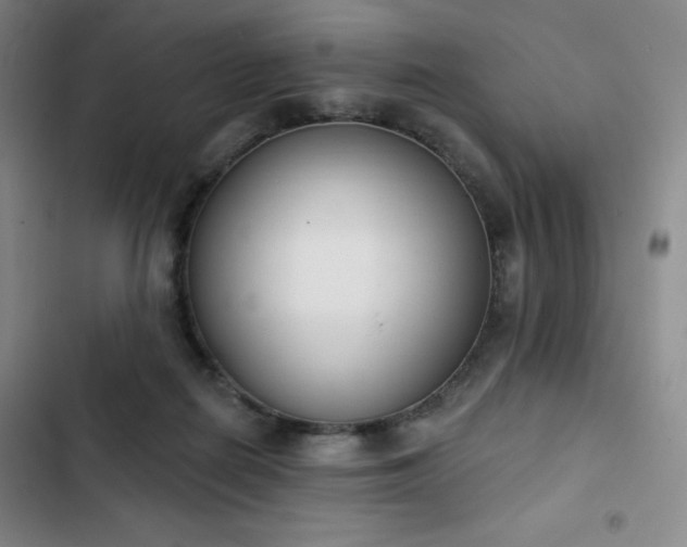X0000102850266200808251209