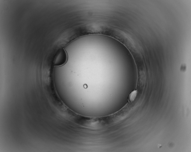 X0000102850267200808251209