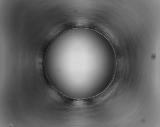 X0000102850269200808251209