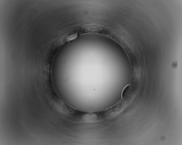 X0000102850271200808251209
