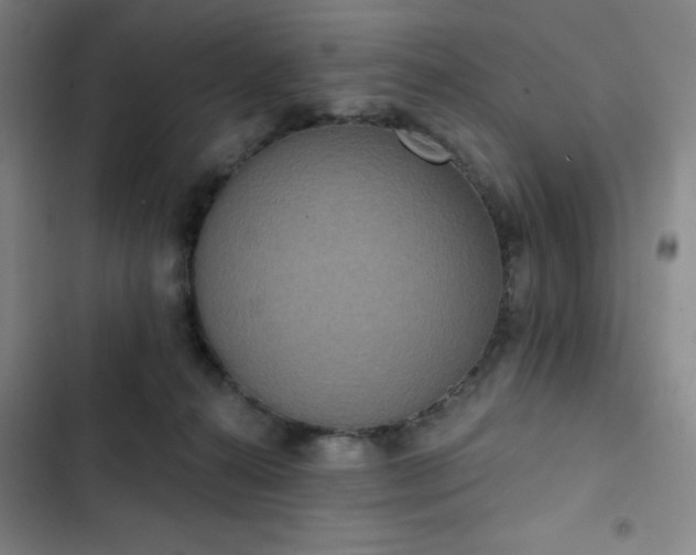 X0000102850272200808251209