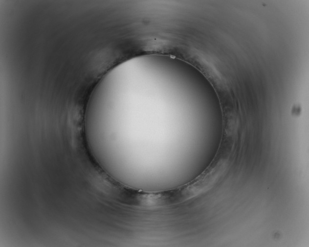 X0000102850273200808251209