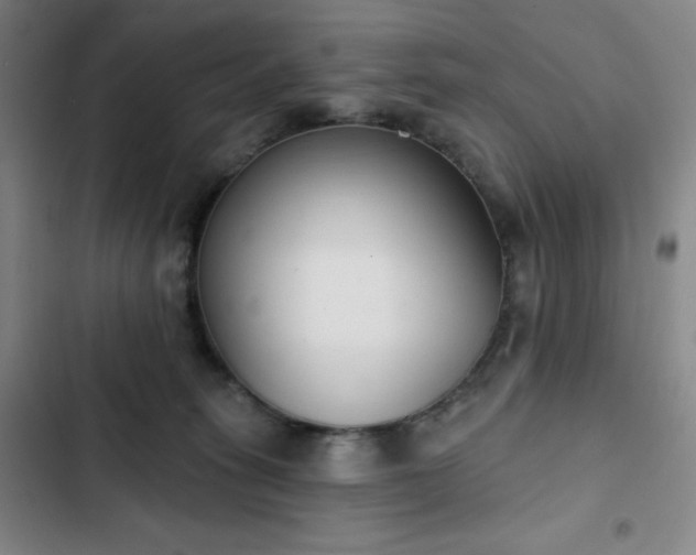 X0000102850275200808251210