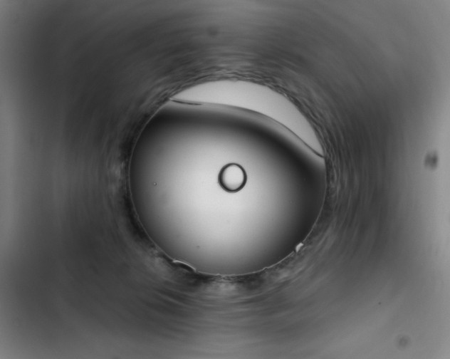 X0000102850276200808251210