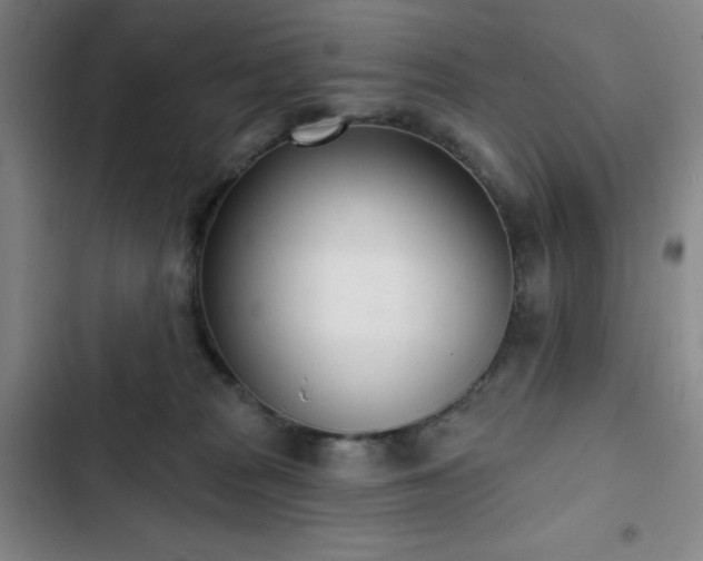 X0000102850277200808251210