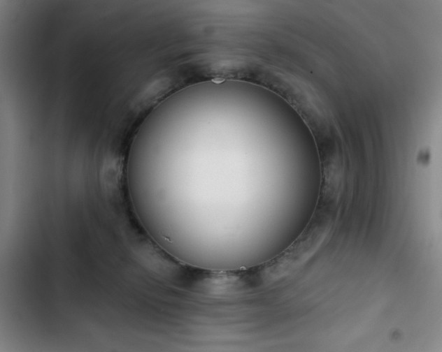 X0000102850278200808251210