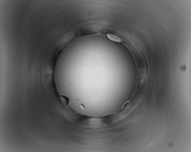 X0000102850279200808251210