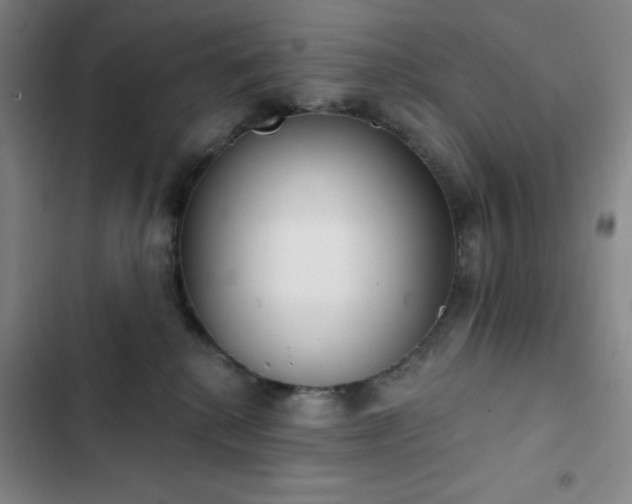 X0000102850280200808251210