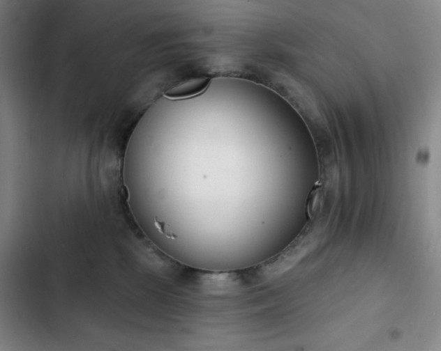 X0000102850281200808251210