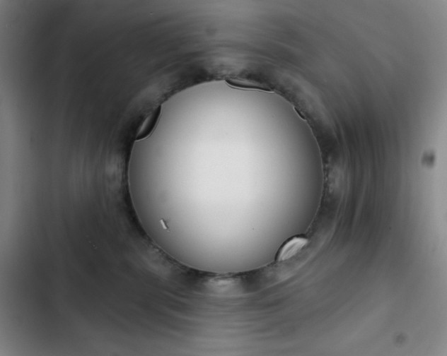 X0000102850283200808251210