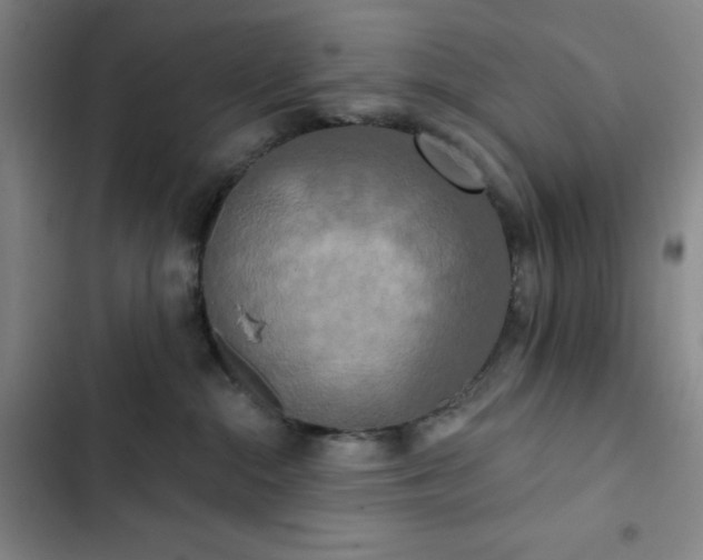 X0000102850284200808251210
