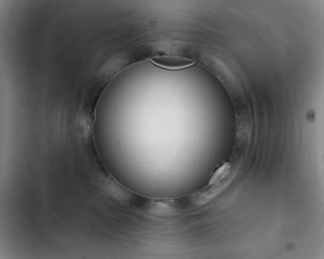 X0000102850285200808251210