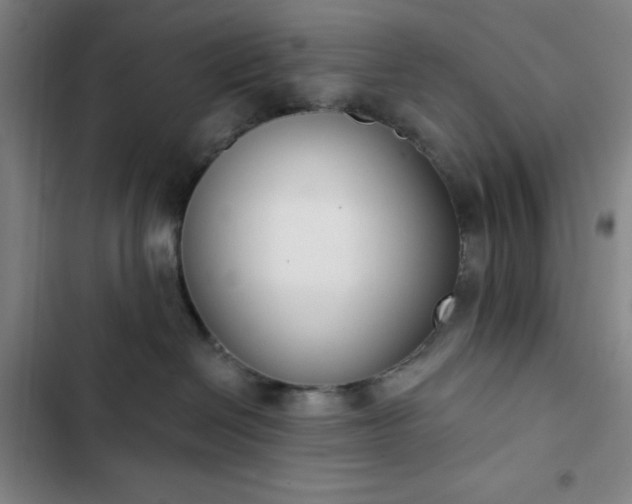 X0000102850286200808251210