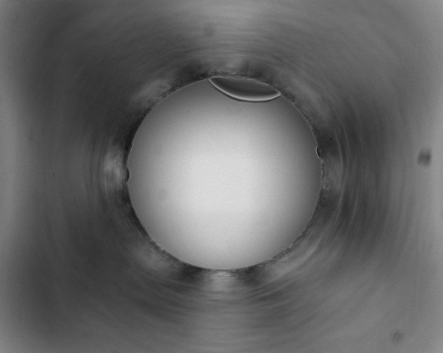 X0000102850287200808251210