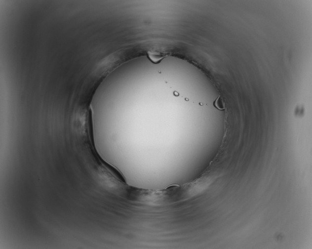 X0000102850288200808251210