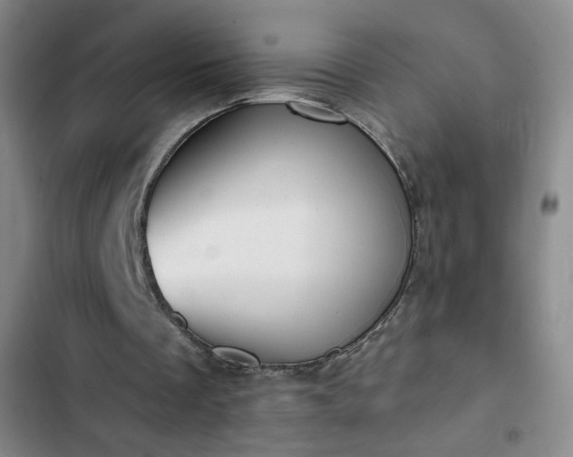 X0000102850289200808251209