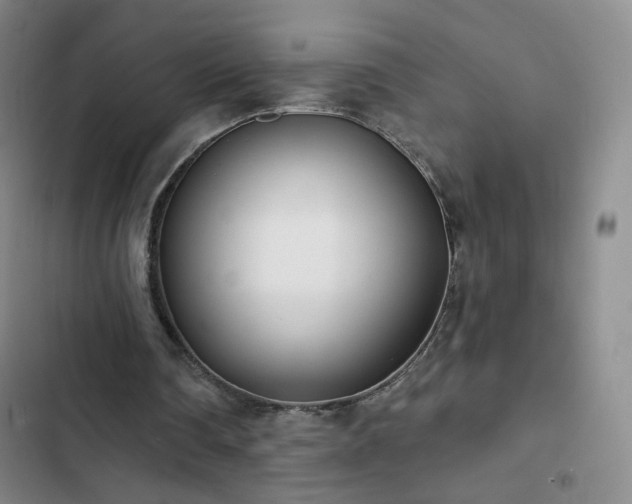 X0000102850290200808251209