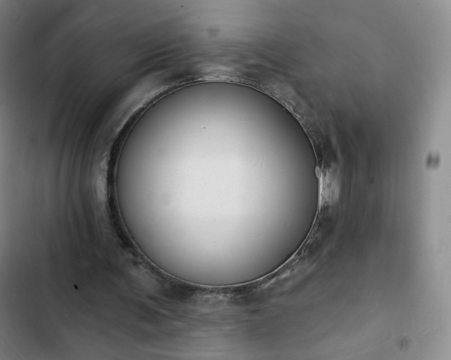 X0000102850291200808251209