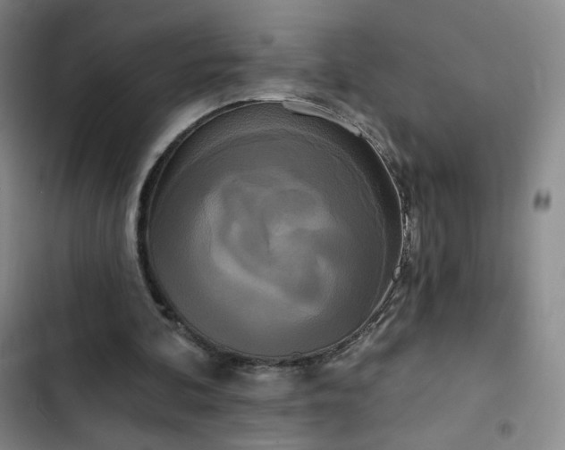 X0000102850292200808251209